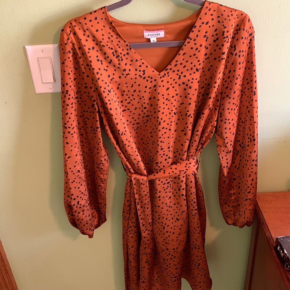 Cheetah print Long sleeve mid length dress